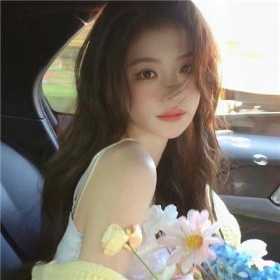 波普先生的企鹅 封面